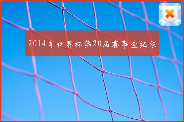 2014年世界杯第20届赛事全纪录