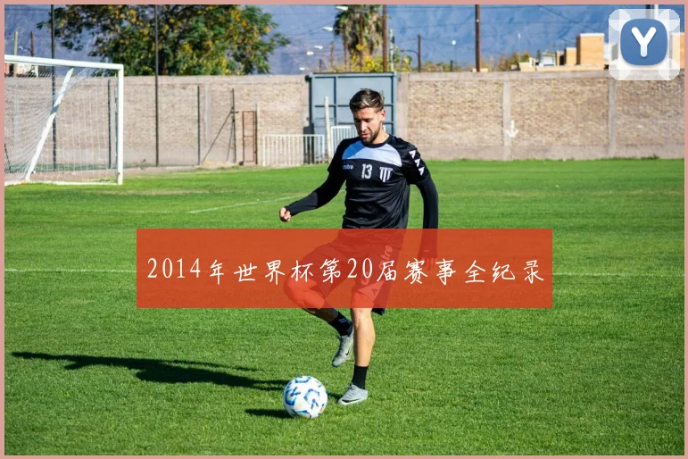 2014年世界杯第20届赛事全纪录