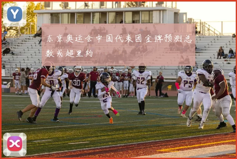 东京奥运会中国代表团金牌预测总数或超里约