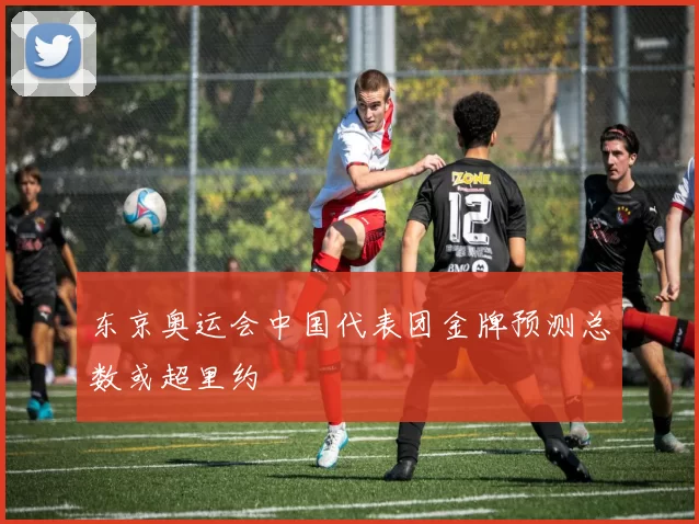 东京奥运会中国代表团金牌预测总数或超里约