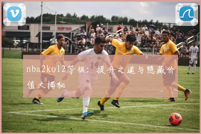 nba2kol2等级:提升之道与隐藏价值大揭秘