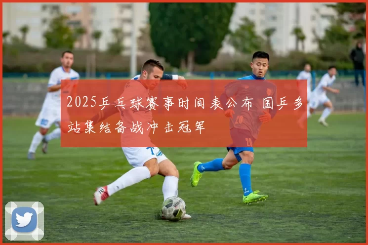 2025乒乓球赛事时间表公布 国乒多站集结备战冲击冠军