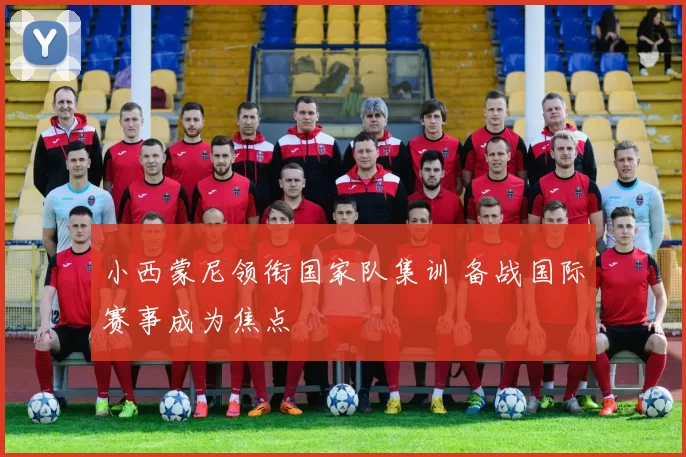 小西蒙尼领衔国家队集训 备战国际赛事成为焦点
