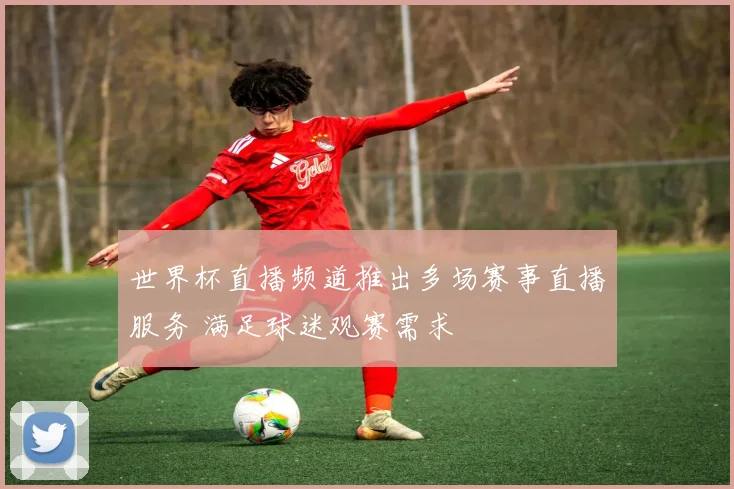 世界杯直播频道推出多场赛事直播服务 满足球迷观赛需求